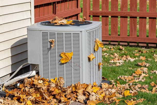 Best Thermostats and Smart Controls in Shafer, MN